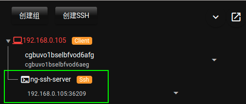 ng-ssh_service_1.png