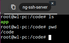 ng-ssh_service_4.png
